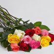 画像2: One Dozen Long Stemmed Christmas Lights Roses (2)